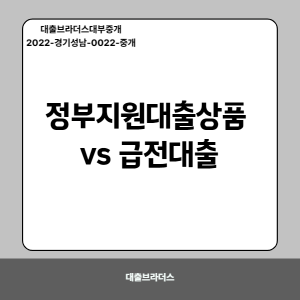 정부지원대출상품